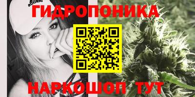 spice Краснокаменск