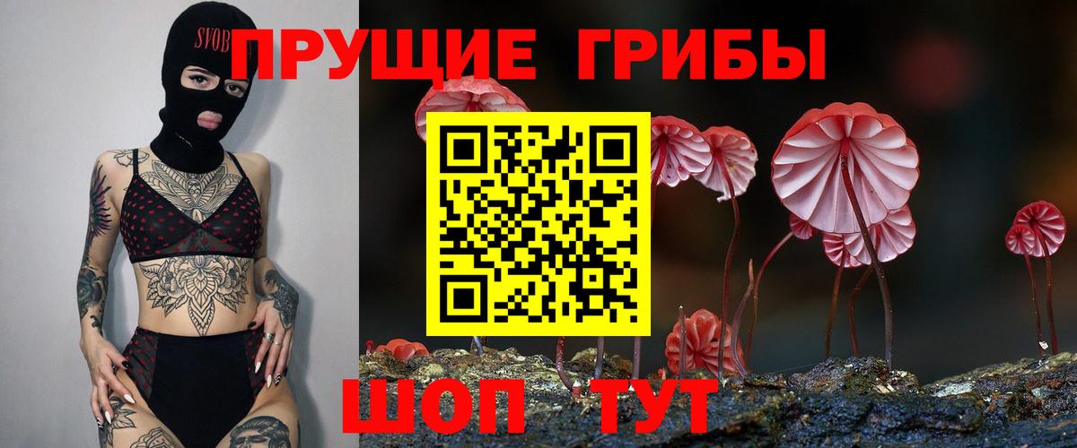 Галлюциногенные грибы мицелий Конаково